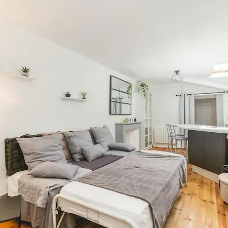 La Salamandre, 40 M2, 1 Chambre, 2 Pas De La Gare Voiron
