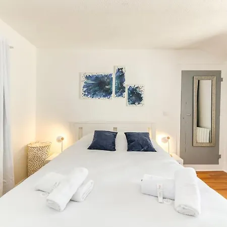 La Salamandre, 40 M2, 1 Chambre, 2 Pas De La Gare Apartment Voiron